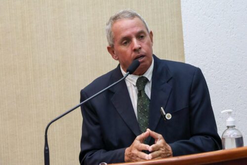 Monte Alto aprova por unanimidade projeto para honrar memória de cão símbolo da causa animal