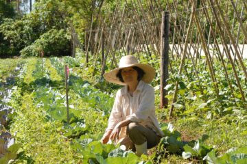 China traça estratégia inovadora para transformar a agricultura com IA e biotecnologia até 2030