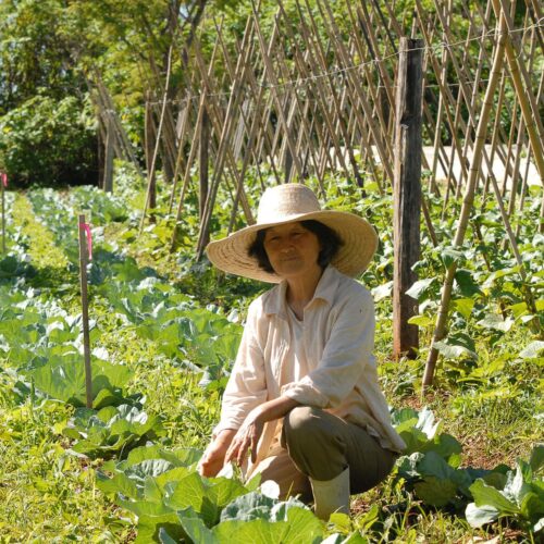 China traça estratégia inovadora para transformar a agricultura com IA e biotecnologia até 2030