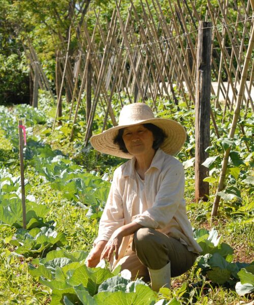 China traça estratégia inovadora para transformar a agricultura com IA e biotecnologia até 2030